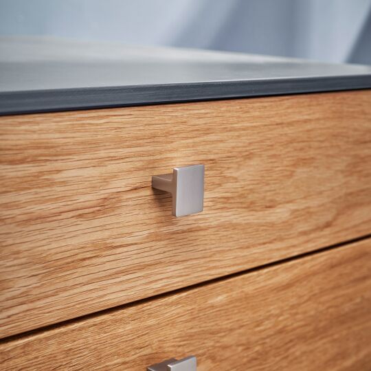 Knop Transport 24x16x31mm RVS look